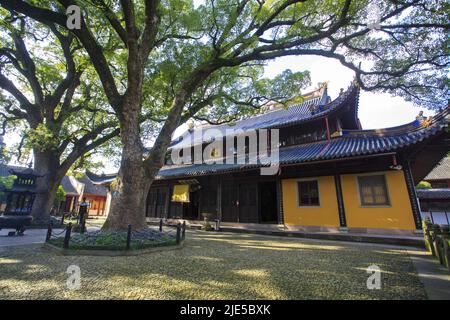 Vestiges culturels et sites historiques du temple d'Asoka, site pittoresque de Ningbo, Zhejiang Banque D'Images