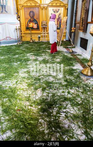 Kolomna, Russie - 11 juin 2022 : herbe verte fraîchement coupée au sol de la cathédrale de l'Assomption (Uspenskiy) du Kremlin de Kolomna dans la vieille ville de Kolomna dans la fe Banque D'Images
