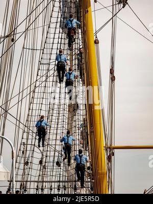 Kiel, Allemagne. 25th juin 2022. Les Marines escaladent les voiles sur le bateau d'entraînement à voile « Gorch Fock » pour mettre la voile pour le défilé Kieler Woche windjammer sur le fjord. Credit: Axel Heimken/dpa/Alay Live News Banque D'Images