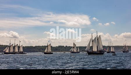 Kiel, Allemagne. 25th juin 2022. D'innombrables navires, bateaux, marins et voiliers traditionnels participent au défilé Kieler Woche windjammer sur le fjord. Credit: Axel Heimken/dpa/Alay Live News Banque D'Images