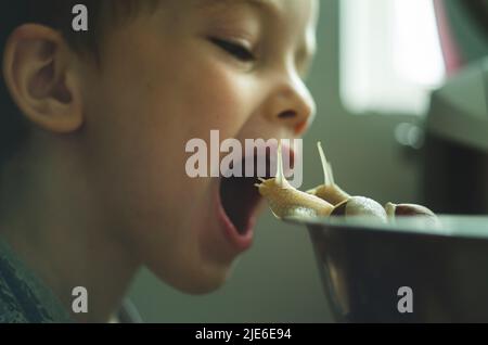 Le petit garçon ouvrit la bouche devant les escargots. Nourriture pour bébé. Véganisme. Élever des enfants et traiter des animaux Banque D'Images