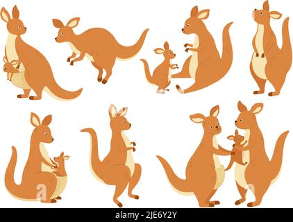 Famille kangourou de dessin animé. Mère wallaby avec bébé dans le sac, Australie animal marsupial et kangourous dans différentes poses scénario ensemble d'illustration Illustration de Vecteur