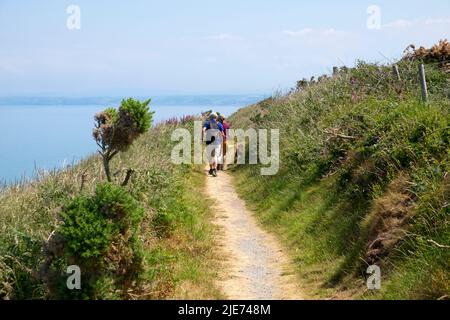 Vue arrière d'un couple marchant avec un chien sur le sentier côtier du pays de Galles au-dessus de New Quay sur la côte de Ceredigion en été, Kathy DEWITT, Royaume-Uni Banque D'Images