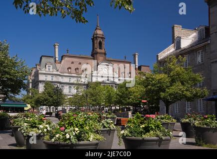 Place Jacques-Cartier et édifice de l'hôtel de ville de Montréal en été, Québec, Canada. Banque D'Images