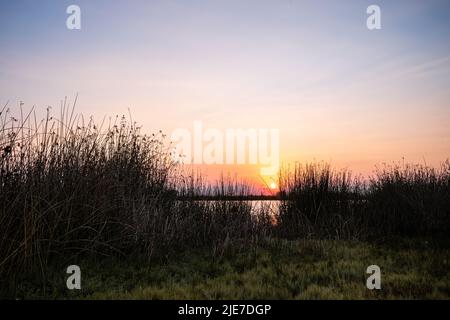 Soleil levant sur la rivière Salinas Banque D'Images