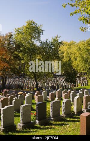 Rangées de pierres tombales dans le cimetière notre-Dame-des-Neiges, sur le mont Royal, à l'automne, Montréal, Québec, Canada. Banque D'Images