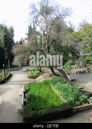 Places et jardins à Santiago, Chili Banque D'Images