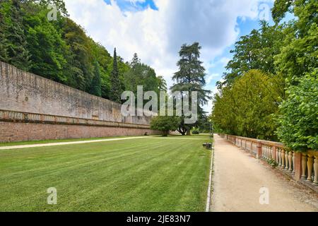Heidelberg, Allemagne - juin 2022 : pelouse dans le jardin public du château de Heidelberg Banque D'Images