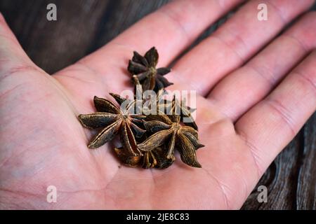 Étoile anis de la plante Pimpinella anisum. Photo de haute qualité Banque D'Images