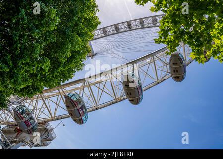 Capsules passagers du London Eye, ou Millennium Wheel, une roue d'observation en porte-à-faux sur la rive de la Tamise, Londres, Royaume-Uni Banque D'Images