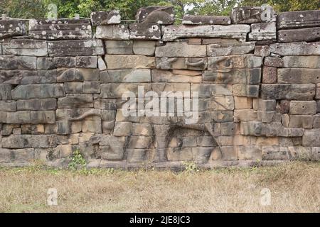 Haut relief d'éléphant monté avec chauffeur à la terrasse des éléphants, Angkor Thom, Angkor, Siem Reap, Cambodge. La terrasse des éléphants est par Banque D'Images