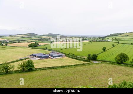 Vue depuis le Rocher de Dunamase, un fort défensif datant de 9th ans au sommet d'une colline, en Irlande. Banque D'Images
