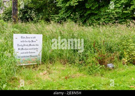 Panneau dans un jardin du parc indiquant que la région a été laissée à la nature, encourageant les abeilles et d'autres animaux sauvages. Banque D'Images