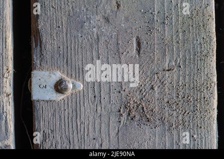 Vieux plancher sale. Une étiquette en aluminium portant le numéro 3 est clouée au plancher. Plaques éraflées présentant des fissures. Vue de dessus. Gros plan. Foyer sélectif Banque D'Images