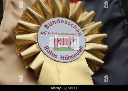 Halberstadt, Allemagne. 26th juin 2022. Un ruban du gagnant du National Red Cattle Show 5th est suspendu sur une clôture au festival agricole de Halberstadt. Les participants de cinq Etats allemands se sont présentés à un jury avec un total de 15 animaux ainsi que des veaux supplémentaires de ce type. Le gagnant général de la catégorie des vieux taureaux était l'agriculteur Brocken Uwe Thielecke de Tanne avec son taureau de 4 ans Ontus. L'animal pèse 900 kilogrammes au total et a siré 30 veaux jusqu'à présent. Credit: Matthias Bein/dpa/Alay Live News Banque D'Images