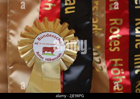 Halberstadt, Allemagne. 26th juin 2022. Un ruban du gagnant du National Red Cattle Show 5th est suspendu sur une clôture au festival agricole de Halberstadt. Les participants de cinq Etats allemands se sont présentés à un jury avec un total de 15 animaux ainsi que des veaux supplémentaires de ce type. Le gagnant général de la catégorie des vieux taureaux était l'agriculteur Brocken Uwe Thielecke de Tanne avec son taureau de 4 ans Ontus. L'animal pèse 900 kilogrammes au total et a siré 30 veaux jusqu'à présent. Credit: Matthias Bein/dpa/Alay Live News Banque D'Images