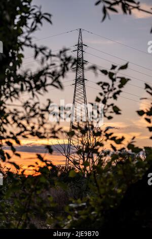 Ligne électrique traversant le marais de la rivière Sava, au coucher du soleil Banque D'Images