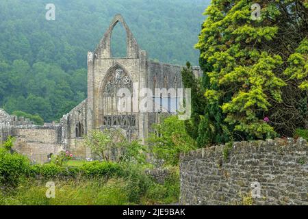 Une vue inhabituelle de l'extrémité est de l'abbaye de Tintern à Tintern dans la vallée de Wye, un jour gris mais fascinant dans le comté de Monbucshire Banque D'Images