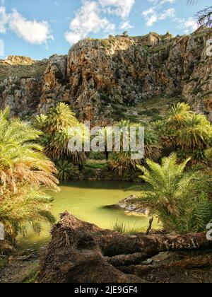 Preveli Palm Beach à Rethymno, Crète une des îles grecques les plus beraches non découvertes. Banque D'Images