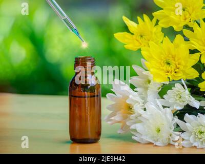 Les huiles essentielles extraient et les herbes de fleurs médicales près de la fleur blanche et jaune sur table en bois. L'huile biologique essentielle bio alternative medic Banque D'Images