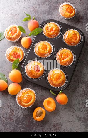 Muffins d'été fraîchement cuits aux abricots frais dans un moule à muffins sur la table. Vue verticale du dessus Banque D'Images