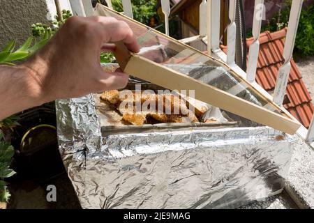 La main de l'homme ouvre un melter solaire fait maison pour les abeilles cire avec des rayons de miel. Concept d'outil et d'équipement de apiculture. Gros plan, mise au point sélective Banque D'Images