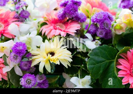 Arrangements floraux simples et magnifiques, orchidées, chrysanthèmes, amaranths Banque D'Images