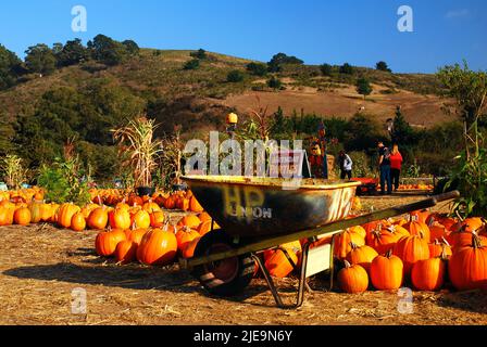 Une brouette est prête à ramasser les citrouilles sur un stand de ferme situé à Half Moon Bay, en Californie Banque D'Images