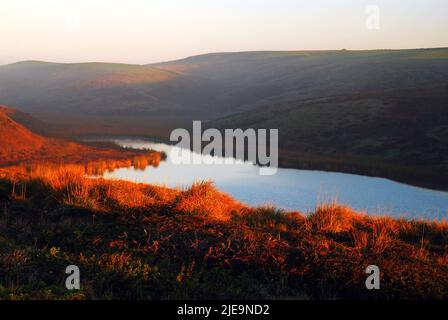 Les premiers rayons de lumière frappent les collines surplombant la baie de Drake à point Reyes en Californie Banque D'Images