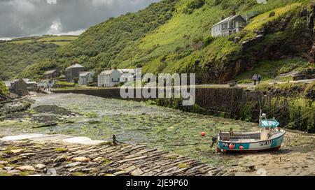 Boscastle, Cornouailles, Angleterre. Dimanche 26th juin 2022. Malgré des averses intermittentes, les visiteurs apprécient le soleil occasionnel dans le pittoresque petit village de pêcheurs de Boscastle, dans le nord de Cornouailles. En 2004, les villages de Boscastle et de Crackington Haven ont subi des dommages considérables après des inondations soudaines causées par huit heures de précipitations exceptionnelles en un après-midi. Crédit : Terry Mathews/Alay Live News Banque D'Images