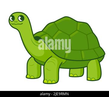 Dessin mignon de tortue géante vert de dessin animé. Illustration vectorielle amusante. Illustration de Vecteur
