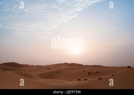 Soleil levant au-dessus des dunes de sable du désert d'Al Wathba à Abu Dhabi, Émirats arabes Unis. Paysage majestueux pour un arrière-plan horizontal et un espace de copie. Banque D'Images