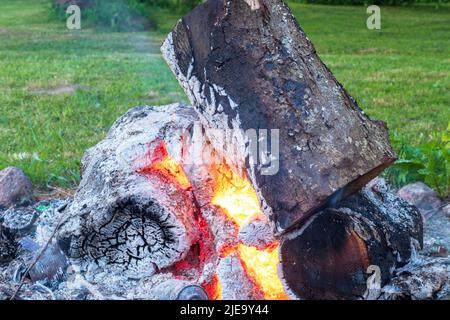 flammes dans l'herbe verte Banque D'Images