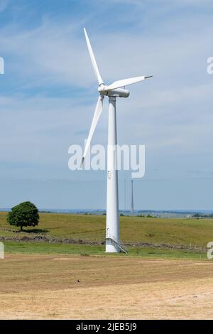 Parc d'éoliennes Royd Moor avec mât de télévision Emley Moor derrière, Penistone, Barnsley, Yorkshire du Sud, Angleterre, ROYAUME-UNI Banque D'Images