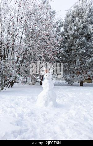 Bonhomme de neige avec expression faciale surprise main faite avec des branches au lieu des cheveux et des mains sur la cour couverte de neige avec quelques arbres en arrière-plan Banque D'Images