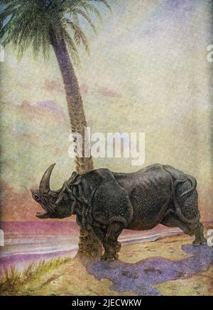 Cette image de J M Gleeson en 1912 illustre la façon dont les rhinocéros ont eu leur histoire de peau : il y avait autrefois un Parsee vivant sur une île inhabitée dans la mer Rouge, avec un chapeau brillant, un couteau et un poêle à cuisiner. Un jour, il a mélangé un gâteau aux fruits et l'a mis dans le poêle pour cuire. Quand il a été fait, un rhinocéros avec une peau lisse et bien ajustée est venu le long, bouleversé le poêle et mangé le gâteau, tandis que le Parsee a pris refuge sur un arbre. Cinq semaines plus tard, un jour très chaud, les rhinocéros ont pris sa peau, qui s'est butée en dessous, et l'ont laissée sur la plage pendant qu'il s'est baigné. Le Parsee l'a rempli de vieux Banque D'Images
