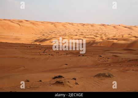 Marche en fin de soirée dans le désert de Wahiba, Oman Banque D'Images