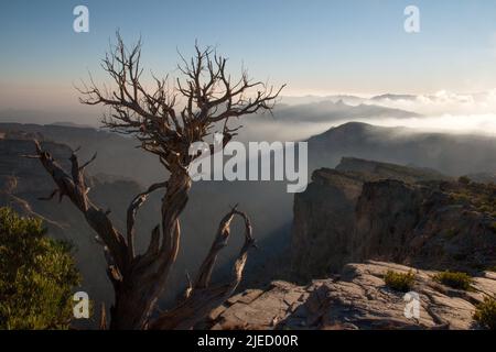 Regarder le coucher du soleil tout en descendant de Jebel Shams Banque D'Images