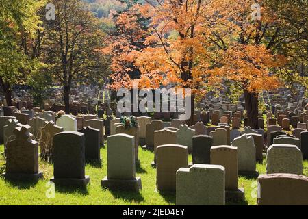 Rangées de pierres tombales dans le cimetière notre-Dame-des-Neiges, sur le mont Royal, à l'automne, Montréal, Québec, Canada. Banque D'Images