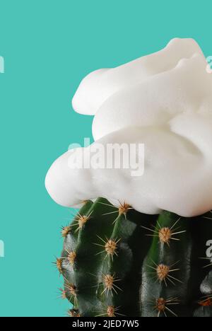 Concept abstrait de rasage avec mousse à raser et cactus, sur fond vert Banque D'Images