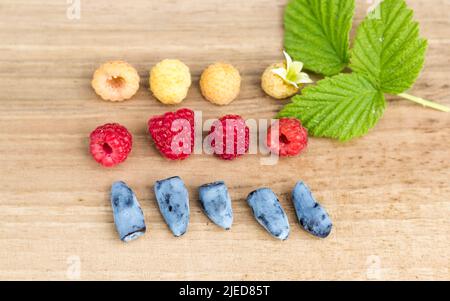 Framboises jaunes (dorées), framboises rouges et baies de miel (Lonicera Caerulea var.. Kamtschatica) avec la feuille de framboise sur le panneau en bois. Haut vi Banque D'Images