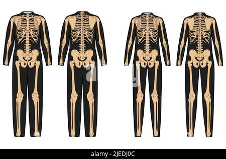 Ensemble de costume de squelette humain os sur body avant vue arrière hommes femmes pour Halloween, festivals, impression sur des vêtements pour le jour de la mort plat noir beige concept illustration vectorielle isolée Illustration de Vecteur