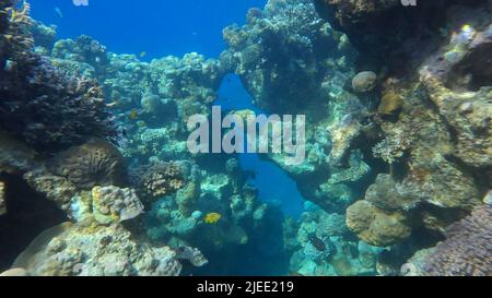 Mer Rouge, Égypte. 26th juin 2022. Voile à travers un rift dans un récif de corail. Rayons du soleil dans le magnifique canyon sous-marin de la mer Rouge, Egypte (Credit image: © Andrey Nekrasov/ZUMA Press Wire) Banque D'Images