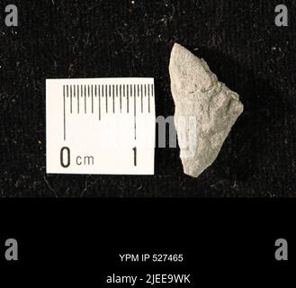 Iocrinus subcrassus (Meek & Worthen, 1865). Banque D'Images