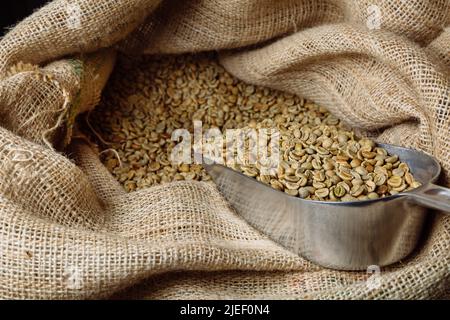 Le café vert non torréfié se trouve dans des sachets. Dans le sac, il y a une pelle en métal dans laquelle les grains sont collectés. Banque D'Images