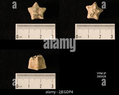Timoroblastus coronatus Wanner. Banque D'Images