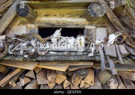 Décor archaïque incluant quelques crânes et os animaux Banque D'Images