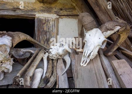 Décor archaïque incluant quelques crânes et os animaux Banque D'Images