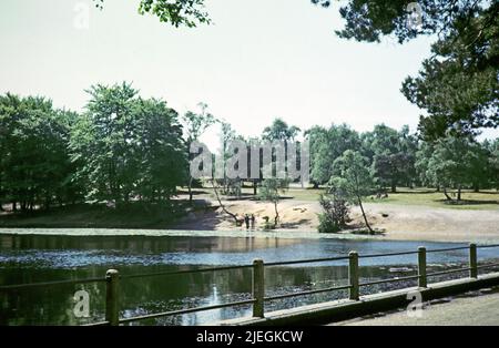 Lac Keston Ponds, Bromley, Kent, Angleterre, Royaume-Uni septembre 1959 Banque D'Images