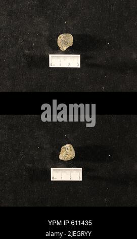 Glyptocrinus decadactylus Hall, 1847. Banque D'Images